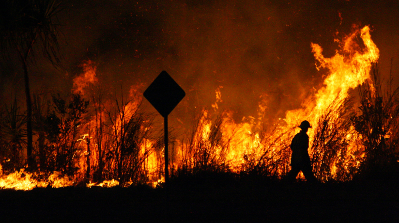 Bushfire Prone Area